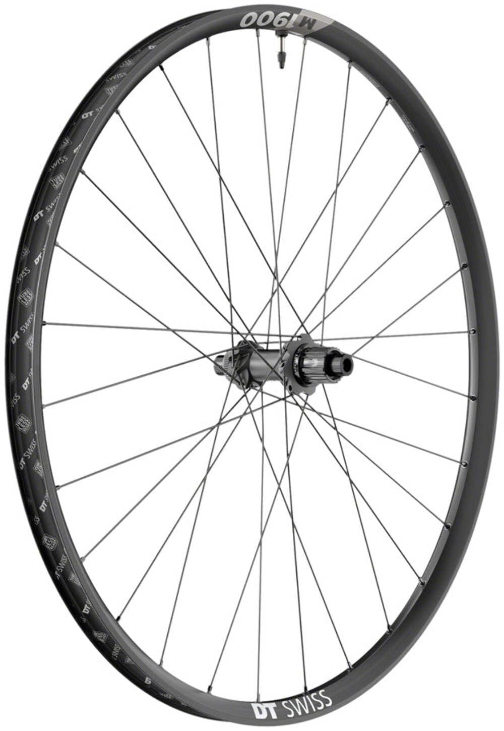 Amazon.com : Dt Swiss M 1900 Spline 30 29In Boost Wheel Rear